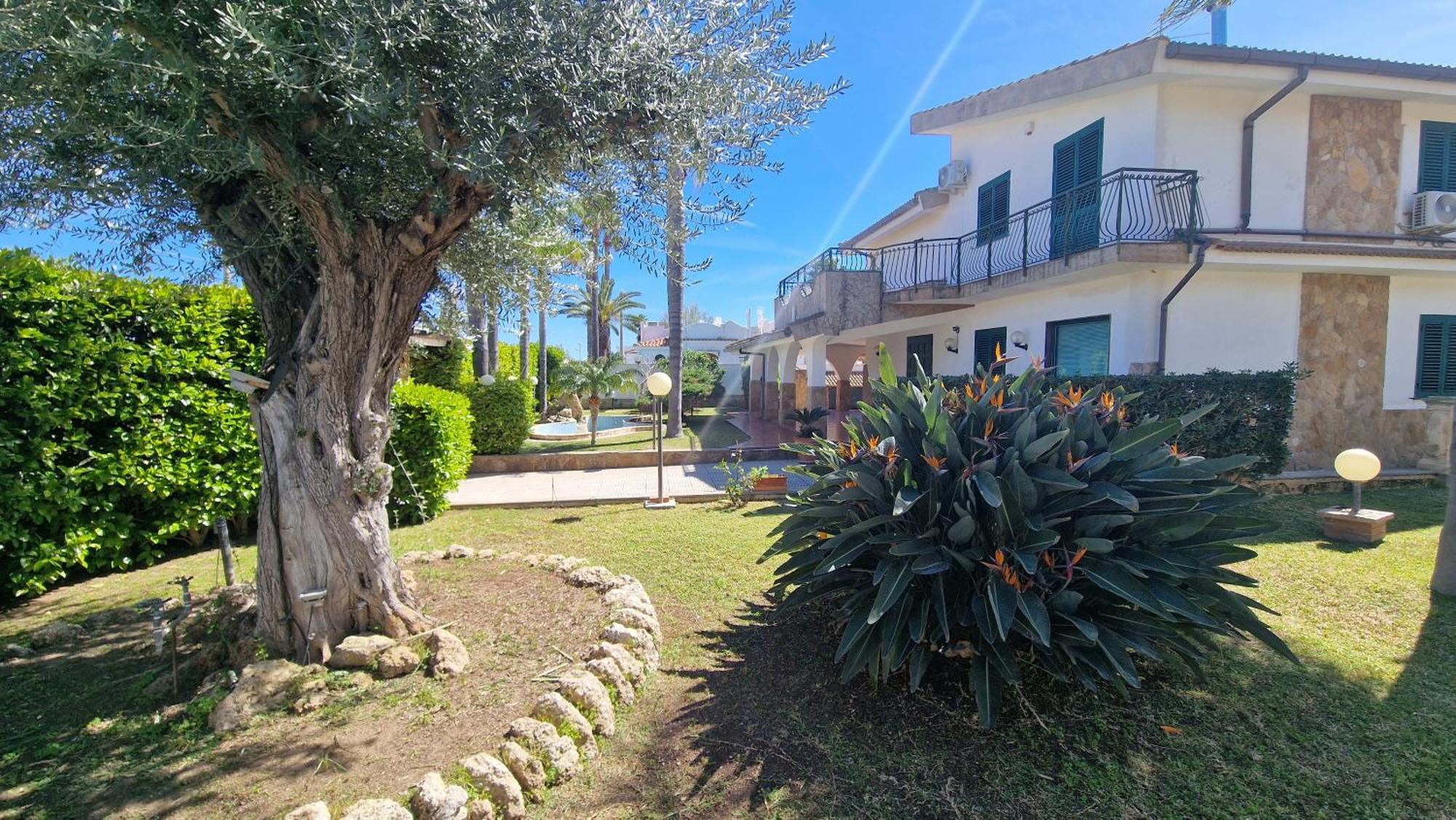 Villa Carlotta بروكولي المظهر الخارجي الصورة